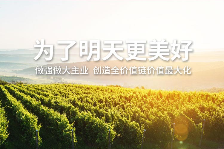 俄罗斯贵宾会·(中国)集团