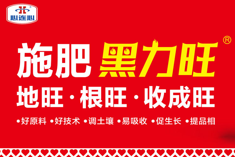 俄罗斯贵宾会·(中国)集团