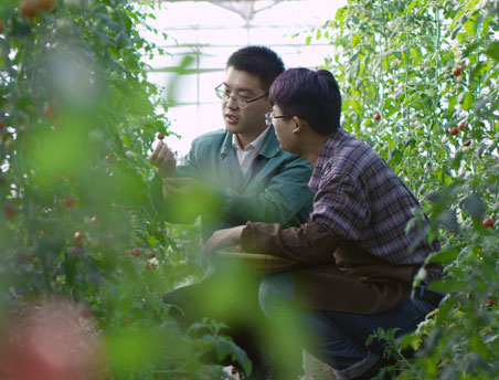 俄罗斯贵宾会·(中国)集团