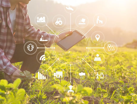 俄罗斯贵宾会·(中国)集团