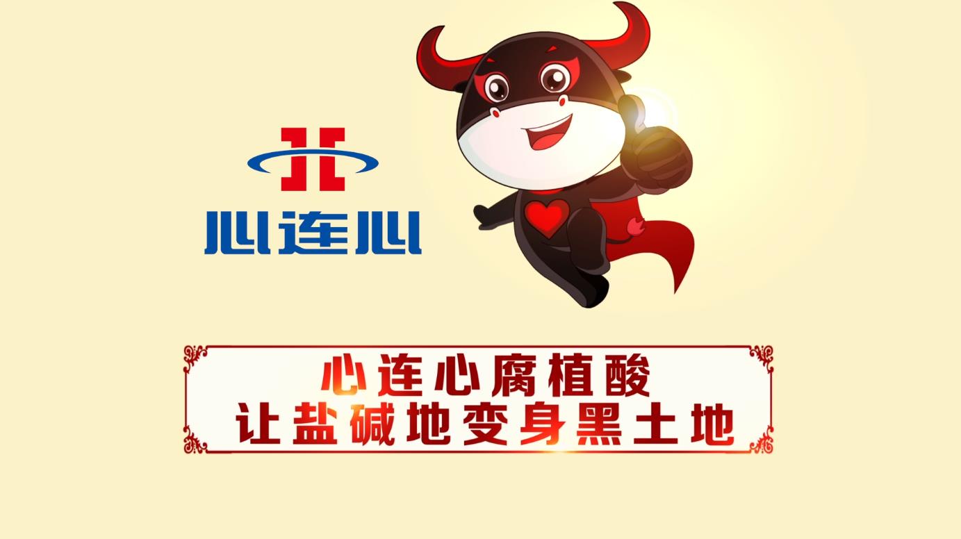 俄罗斯贵宾会·(中国)集团