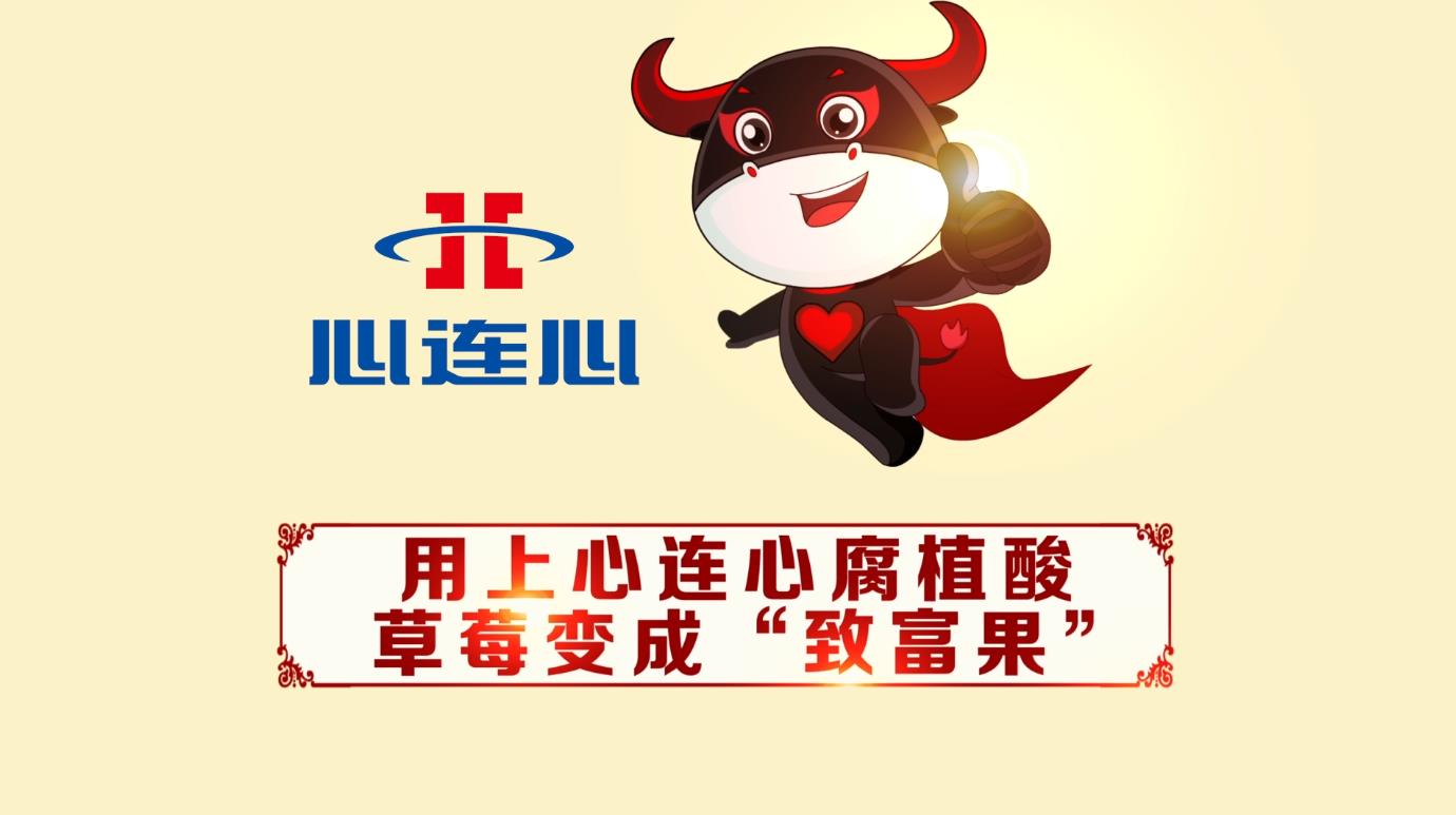 俄罗斯贵宾会·(中国)集团