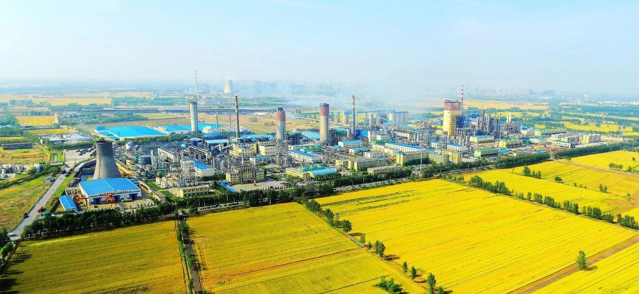 【俄罗斯贵宾会集团·瞬间】俄罗斯贵宾会集团化学工业集团建厂50周年回眸（四）